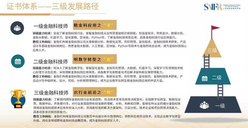 金融科技应用专业课程概览，掌握未来金融的钥匙
