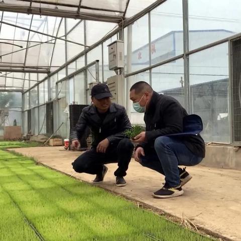 科技在现代农业中的应用与未来展望