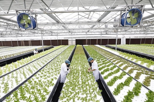 科技在农业发展中的重要性