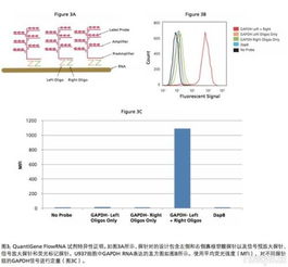 科技促进发展，关键影响因子的深入分析